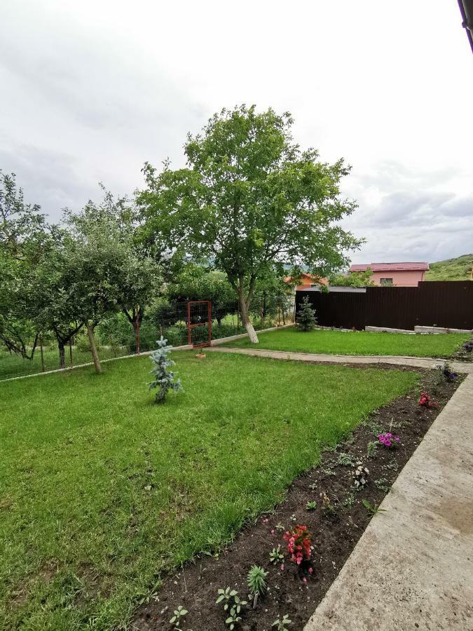 Bbs Residence Cluj-Napoca Buitenkant foto